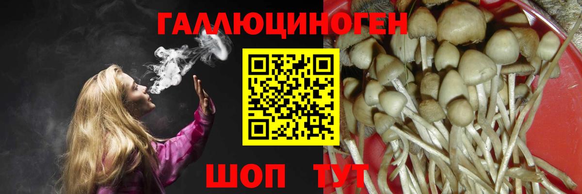 Псилоцибиновые грибы мицелий  Псилоцибиновые грибы Cubensis  Химки  Вход с VPN 